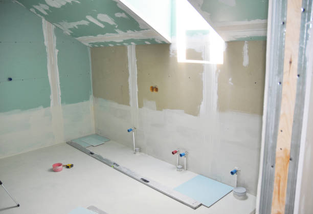Best Commercial Mold Inspection  in Lawai, HI