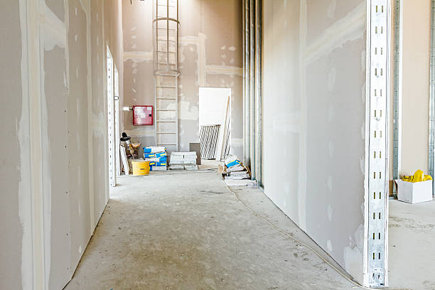 Best Asbestos and Lead Testing During Mold Inspection  in Lawai, HI