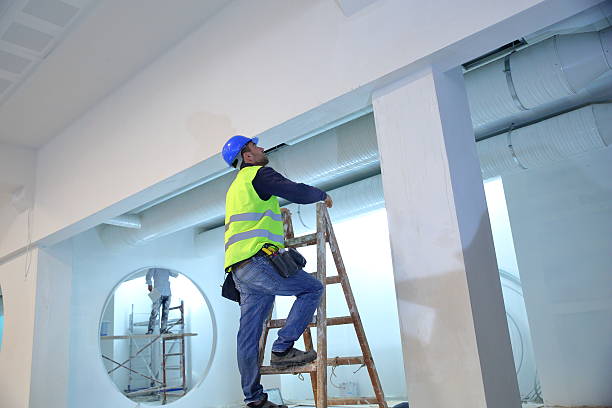  Lawai, HI Mold Removal Pros