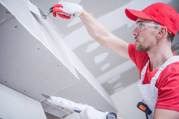 Mold Odor Removal Services in Lawai, HI