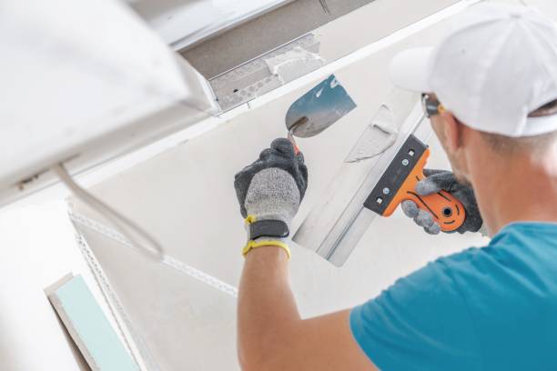 Best Water Damage & Mold Remediation  in Lawai, HI
